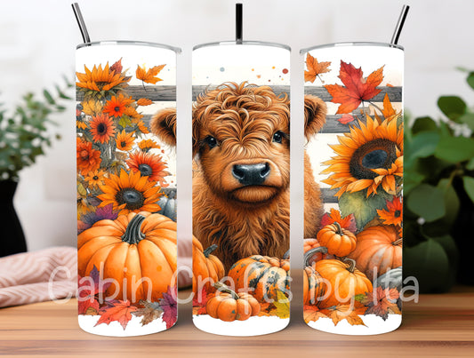 Tumbler - Highland Cow