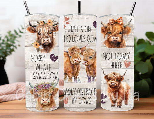 Tumbler - Highland Cow